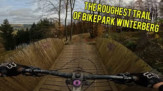 the ROUGHEST AND FASTEST trail of BIKEPARK WINTERBERG  IXS downhill [upl. by Aneelehs107]