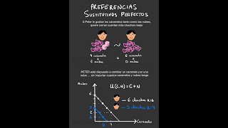 PREFERENCIAS SUSTITUTIVOS PERFECTOS  Microeconomía  Microeconomía Interactiva [upl. by Dave]