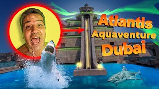 Aquaventure Water Park Dubai Leap of Faith Water Slide 30 m amp 60 kmh [upl. by Isdnyl]