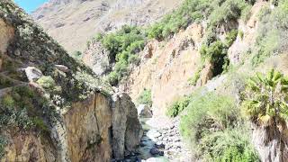 Hiking Colca Canyon day two Sangalle [upl. by Marden888]