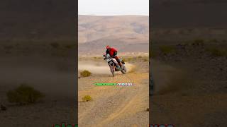 Ducati DesertX Rally  A serious offroader from Ducati  MotoShift ducati desertx [upl. by Aleris]