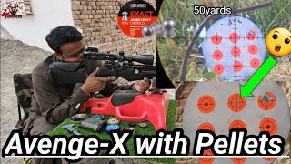 45 AvengeX Accuracy with Pellets [upl. by Marzi]