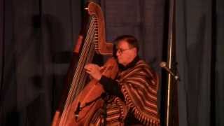 Alfredo Rolando Ortiz performing at the 2013 Somerset Folk Harp Festival [upl. by Ellekram]