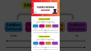 Thyroid Carcinoma  Shorts  Types Mnemonic  Endocrinology  Medi Trix [upl. by Llatsyrk]