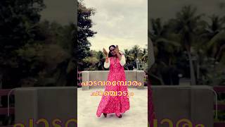 💃🏻 Padavaramboram chanchadum  Maanam Thelinje Ninnal  Dance Version  Thenmavin Kombathu [upl. by Lari990]