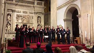 Gaudeamus Choir Brno  Ola Gjeilo Northern Lights [upl. by Phillis]