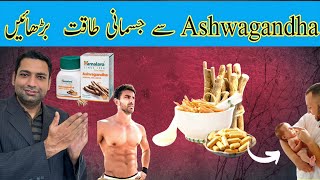 Ashwagandha ke fayde 2024  Ashwagandha Benefits For Men [upl. by Einre518]