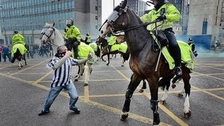 Newcastle Fan Punches A Horse [upl. by Ardnuahs]