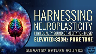 333 Hz Harnessing Neuroplasticity Meditation for Rewiring Your Brain [upl. by Enelhtak289]