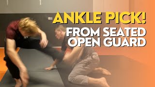 ANKLE PICK From seated open guard [upl. by Eelir]