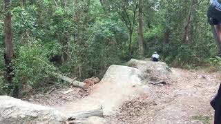 Glenrock dirt jumps [upl. by Ardnuhsed43]