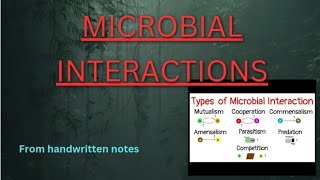 MICROBIALINTERACTION microbial microbialgenetics microorganism [upl. by Neiviv898]