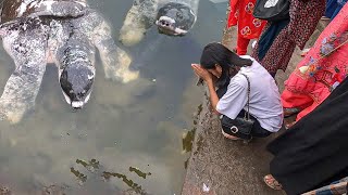 Walk in 🇧🇩 Bayazid Bostami Mazar Chattogram Bangladesh  Walking Tour [upl. by Shurwood782]