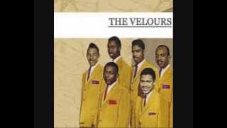 THE VELOURS  IM GONNA CHANGE [upl. by Tierell]