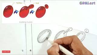 How to draw Budding in yeast diagram on Biology Practical copy [upl. by Fagaly91]