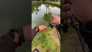 Ultralight é adrenalina demais fishing pesca [upl. by Trovillion]