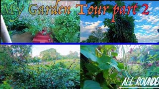 My Nagaland garden tour trendingshorts vlogs vlogger viralvideo trendingviral Allrounder361 [upl. by Ynnavoj]