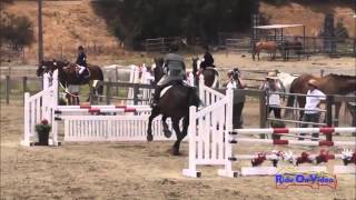 122S Suze Randall Knipe SR Novice Rider Show Jumping Shepherd Ranch June 2013 [upl. by Gav]