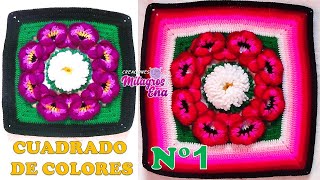 Como tejer el Cuadrado de colores N° 1 a crochet para colchas y cojines paso a paso y FLOR N° 42 [upl. by Eyahc370]