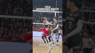 Masahiro Sekita worlds shortest setter block play powervolleyballofficial volleyballworld [upl. by Wehner]