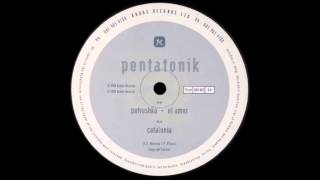 Pentatonik  Petrushka [upl. by Warms]