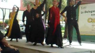 RUMBA quotALMA PEREGRINAquot CÍA DE DANZA ESPAÑOLA Y FLAMENCO [upl. by Nnyleuqcaj733]