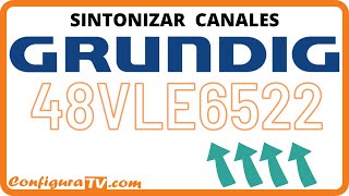 ▶️ Sintonizar canales tv GRUNDIG 48VLE6522 [upl. by Ennaehr]