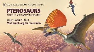 Pterosaurs Flight in the Age of Dinosaurs [upl. by Eelram177]