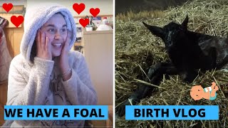 WE HAVE A FOAL Birth Vlog  OT Vlog [upl. by Enelia]