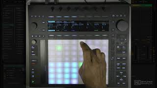 Ableton Push 3 101 Push 3 Explored  Step Sequencing Drums [upl. by Atived]