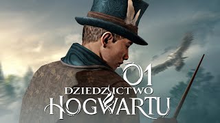 Hogwarts Legacy PL 1  Gra w świecie Harryego Pottera  Dziedzictwo Hogwartu Gameplay PL PS5 4K [upl. by Morena310]