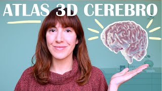 Aprende neuroanatomía con este atlas 3D del cerebro [upl. by Lacie]