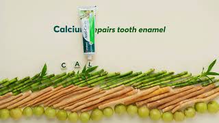 Himalaya Anti Cavity Herbal Toothpaste [upl. by Grose]