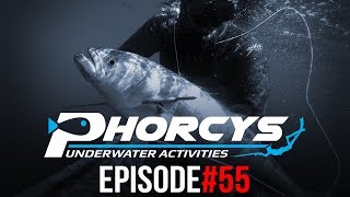 PHORCYS UNDERWATER ACTIVITIES  EPISODE55 [upl. by Cilurzo]