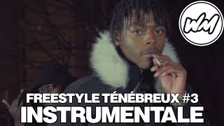 Koba LaD  Freestyle Ténébreux 3 Instrumentale [upl. by Chrisoula716]