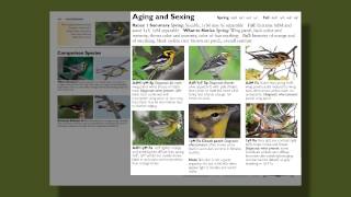 The Warbler Guide  Features of the Species Accounts [upl. by Annauj]