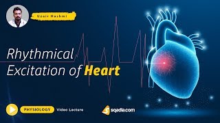 Rhythmical Excitation of Heart  Medical Physiology Lecture  Doctors VLearning Platform [upl. by Noyr]