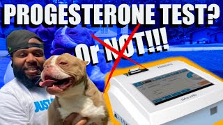 Are Progesterone Test Necessary [upl. by Otiragram]