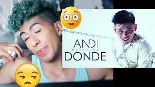 Andi Bernadee  Donde REACTION [upl. by Ssegrub]