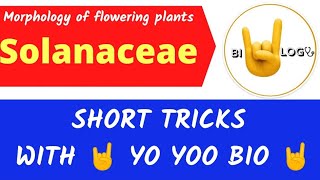 Morphology of flowering plants  Family Solanaceae Short tricks with yo yoo bio Dr Vaibhav Awasthi [upl. by Bucher817]