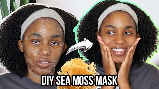 I used SEA MOSS GEL on my face for A WEEKThis is what happened 😳 [upl. by Battat]