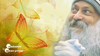 OSHO Kundalini Meditation Kundalini Awakening Osho  Dynamic Meditation  Dynamic Meditation [upl. by Ottavia]