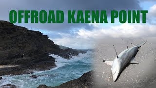 Offroading at Kaena Point South Side [upl. by Norrehc]