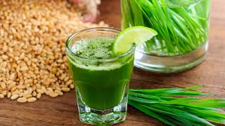 Great Food To Increase Blood Platelets Count Is Wheatgrass How To Consume [upl. by Adnorrehs413]