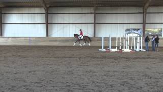 Thoroughbreds for All 2014Nuno Santos Demo [upl. by Criswell372]