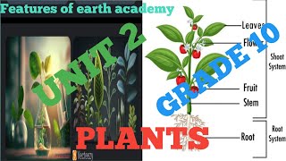 Grade 10 biology unit 2 part 4 25 Seeds 26 seed dispersal and germination [upl. by Retsim]