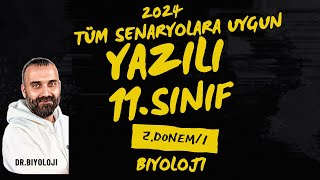 11Sınıf Biyoloji 2Dönem 1Yazılı  Senaryo Odaklı  PDF  20232024 [upl. by Eittel]