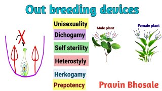 Outbreeding Devices in Hindi  Reproduction in lower and higher plants [upl. by Anikat835]