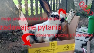 Otwieram paczkę z Futerkowe🐇moje umiejętności brukarskie czyli dokładanie kostki zadawajcie pytania [upl. by Ebenezer562]