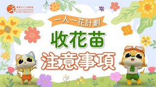 一人一花計劃 收花苗注意事項 One People One Flower Scheme Notes on Receiving Seedlings [upl. by Lynch49]